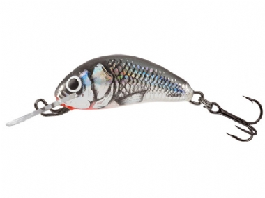 HOLOGRAPHIC GREY SHINER